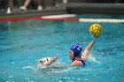 WWPolo vs CC  Wheaton College Women’s Water Polo compete in their sports inaugural match vs Connecticut College. - Photo By: KEITH NORDSTROM : Wheaton, water polo, inaugural